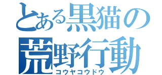とある黒猫の荒野行動（コウヤコウドウ）