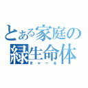 とある家庭の緑生命体（きゃーる）