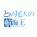 とある尾大の航海王（インデックス）