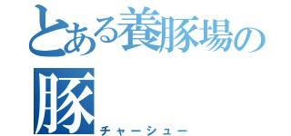 とある養豚場の豚（チャーシュー）