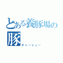 とある養豚場の豚（チャーシュー）