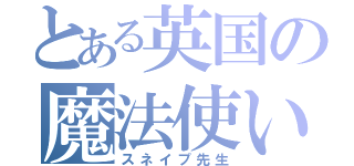 とある英国の魔法使い（スネイプ先生）