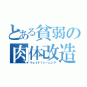 とある貧弱の肉体改造（ウェイトトレーニング）