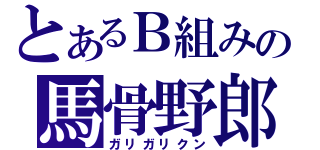 とあるＢ組みの馬骨野郎（ガリガリクン）