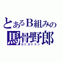 とあるＢ組みの馬骨野郎（ガリガリクン）