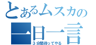 とあるムスカの一日一言（３分間待ってやる）