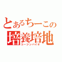 とあるちーこの培養培地（コージンバイオ）