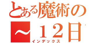 とある魔術の～１２日（インデックス）