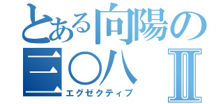 とある向陽の三○八Ⅱ（エグゼクティブ）