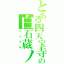 とある四天宝寺の白石蔵ノ介（バイブル）