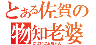 とある佐賀の物知老婆（がばいばぁちゃん）