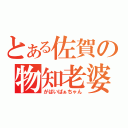 とある佐賀の物知老婆（がばいばぁちゃん）