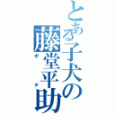 とある子犬の藤堂平助（ポチ）