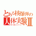 とある核爆弾の人体実験Ⅱ（世界１の殺戮したユダアメリカ）