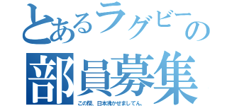 とあるラグビー部の部員募集（この間、日本沸かせましてん。）