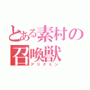 とある素村の召喚獣（アリナミン）