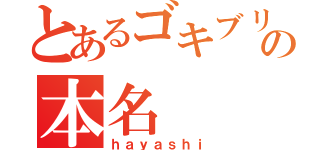 とあるゴキブリの本名（ｈａｙａｓｈｉ）