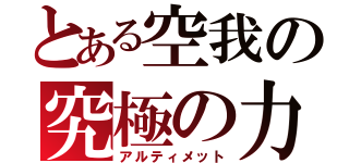 とある空我の究極の力（アルティメット）