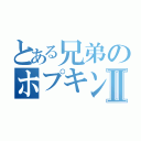 とある兄弟のホプキンスⅡ（）