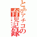 とあるアチコの育児記録（二児のママ）