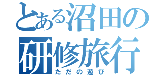 とある沼田の研修旅行（ただの遊び）