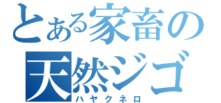 とある家畜の天然ジゴロ（ハヤクネロ）