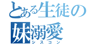 とある生徒の妹溺愛（シスコン）