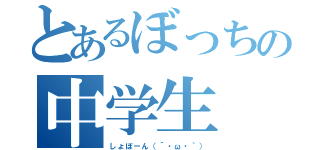 とあるぼっちの中学生（しょぼーん（´・ω・｀））