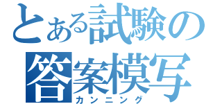 とある試験の答案模写（カンニング）