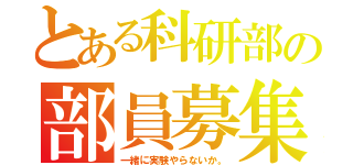 とある科研部の部員募集（一緒に実験やらないか。）