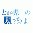 とある県の太っちょ（ゲーマー）