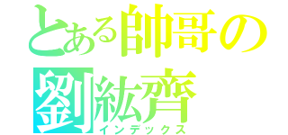 とある帥哥の劉紘齊（インデックス）