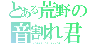 とある荒野の音割れ君（ｃｒａｃｋｉｎｇ ｓｏｕｎｄ）