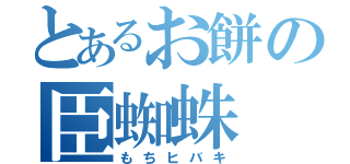 とあるお餅の臣蜘蛛（もちヒバキ）