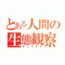 とある人間の生態観察（デュラララ）