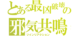 とある最凶破壊者の邪気共鳴（ツインリアクション）