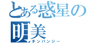 とある惑星の明美（チンパンジー）