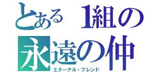 とある１組の永遠の仲間たち（エターナル・フレンド）