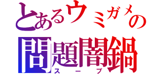 とあるウミガメの問題闇鍋（スープ）