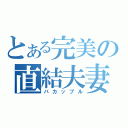 とある完美の直結夫妻（バカップル）