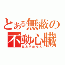 とある無蔽の不動心臟（はありません）