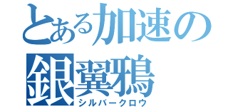 とある加速の銀翼鴉（シルバークロウ）