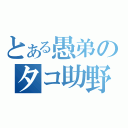 とある愚弟のタコ助野郎（）