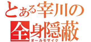 とある宰川の全身隠蔽（オールモザイク）