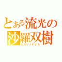 とある流光の沙羅双樹（ヒカリノドリム）