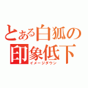 とある白狐の印象低下（イメージダウン）