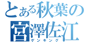 とある秋葉の宮澤佐江（ゲンキング）