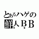 とあるハゲの鮮人ＢＢ（禿電）