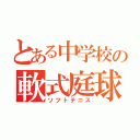 とある中学校の軟式庭球部（ソフトテニス）