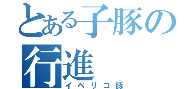 とある子豚の行進（イベリコ豚）